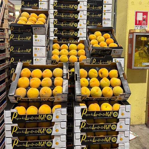 Pesca di Leonforte IGP - Sicilia- 3,50 euro al kg